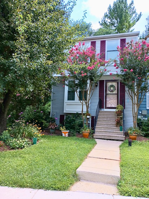 9515 Quarry Bridge Court - 1